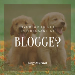 Hvorfor er det interessant at blogge?