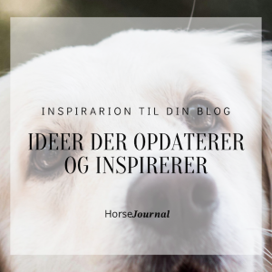 5. Inspiration til din blog – Ideer der Opdaterer og Inspirerer