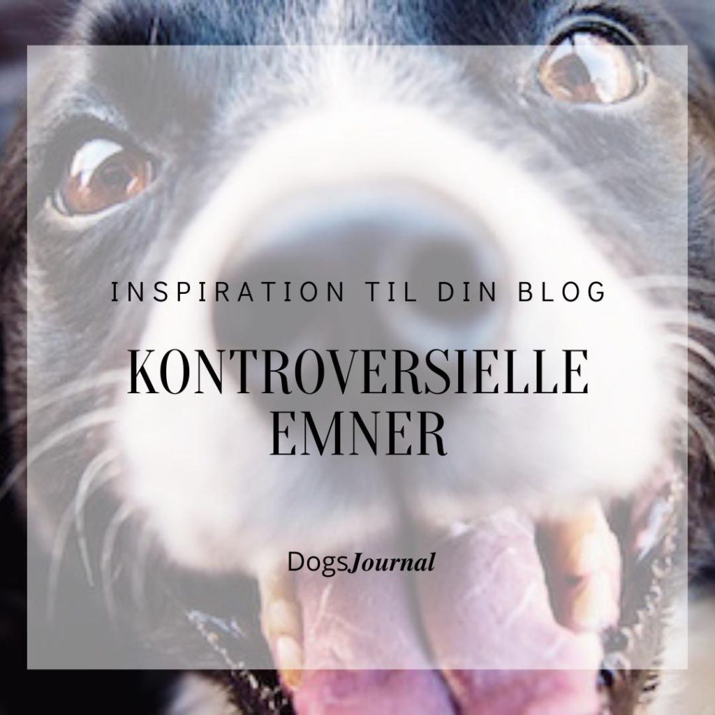 Inspiration til din blog - Kontroversielle Emner.