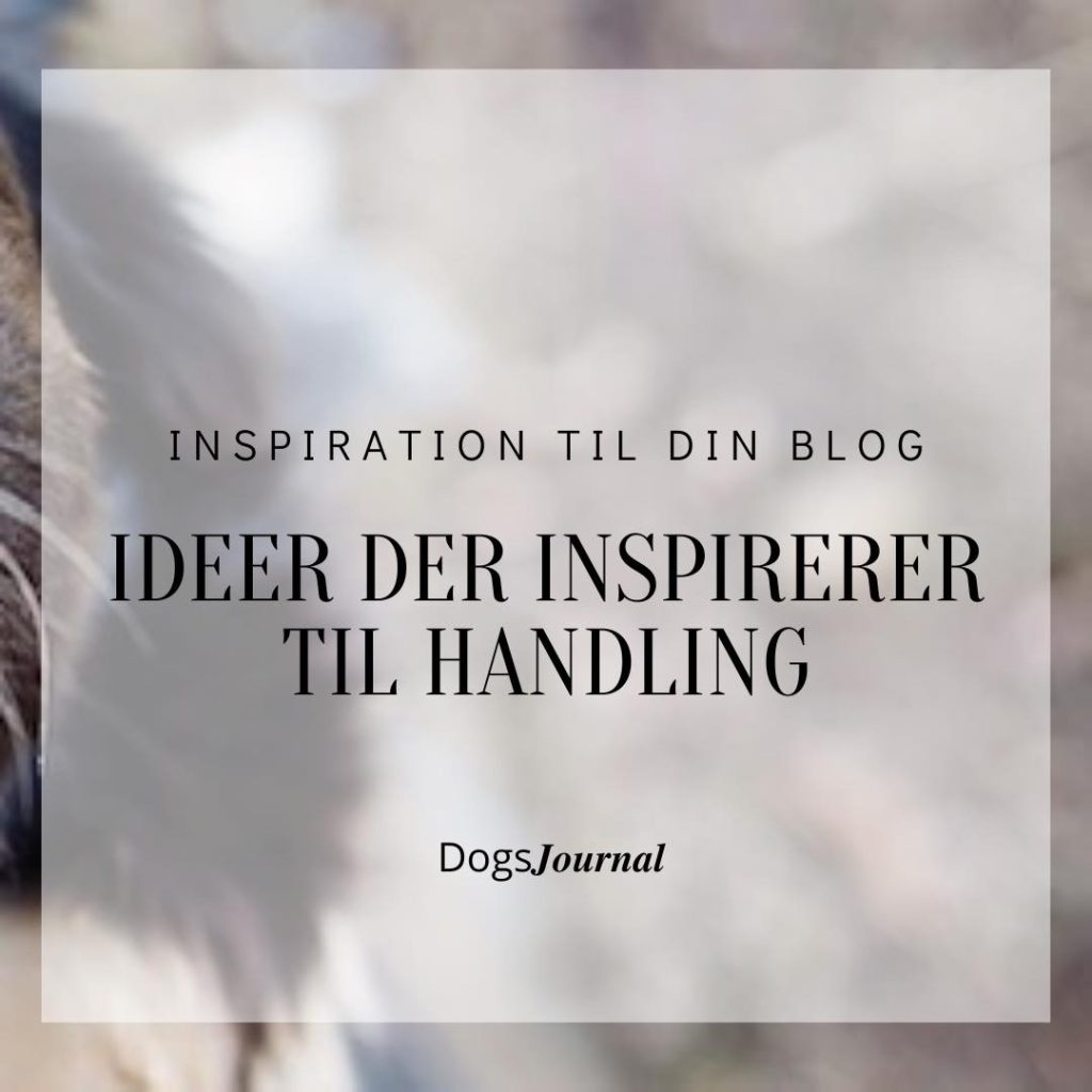 Inspiration til din blog - Ideer der inspirerer til handling.