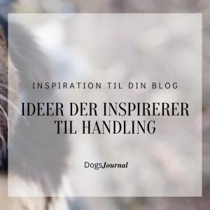 1. Inspiration til din Blog – Ideer der inspirerer til Handling