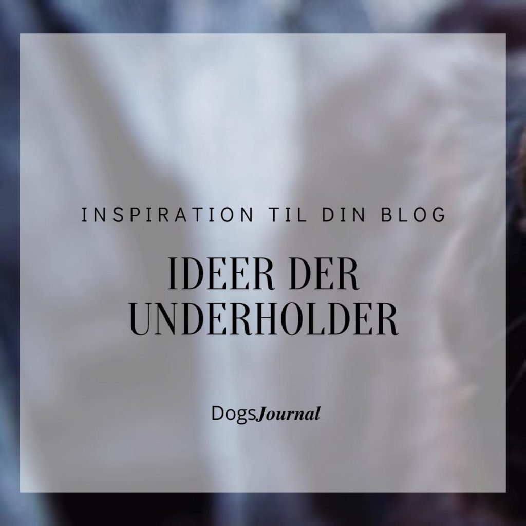 Inspiration til din blog - Ideer der underholder.