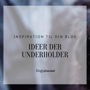 3. Inspiration til din Blog – Ideer der Underholder.