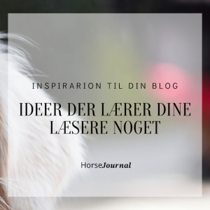 4. Inspiration til din Blog – Ideer der lærer dine læsere noget.