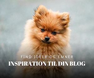 Inspiration til din blog